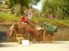 pict0219